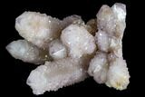 Cactus Quartz (Amethyst) Cluster - South Africa #122357-1